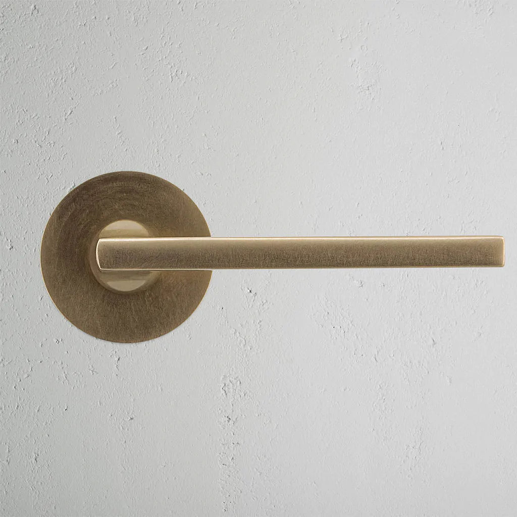 Clayton Flush Rose Sprung Door Handle