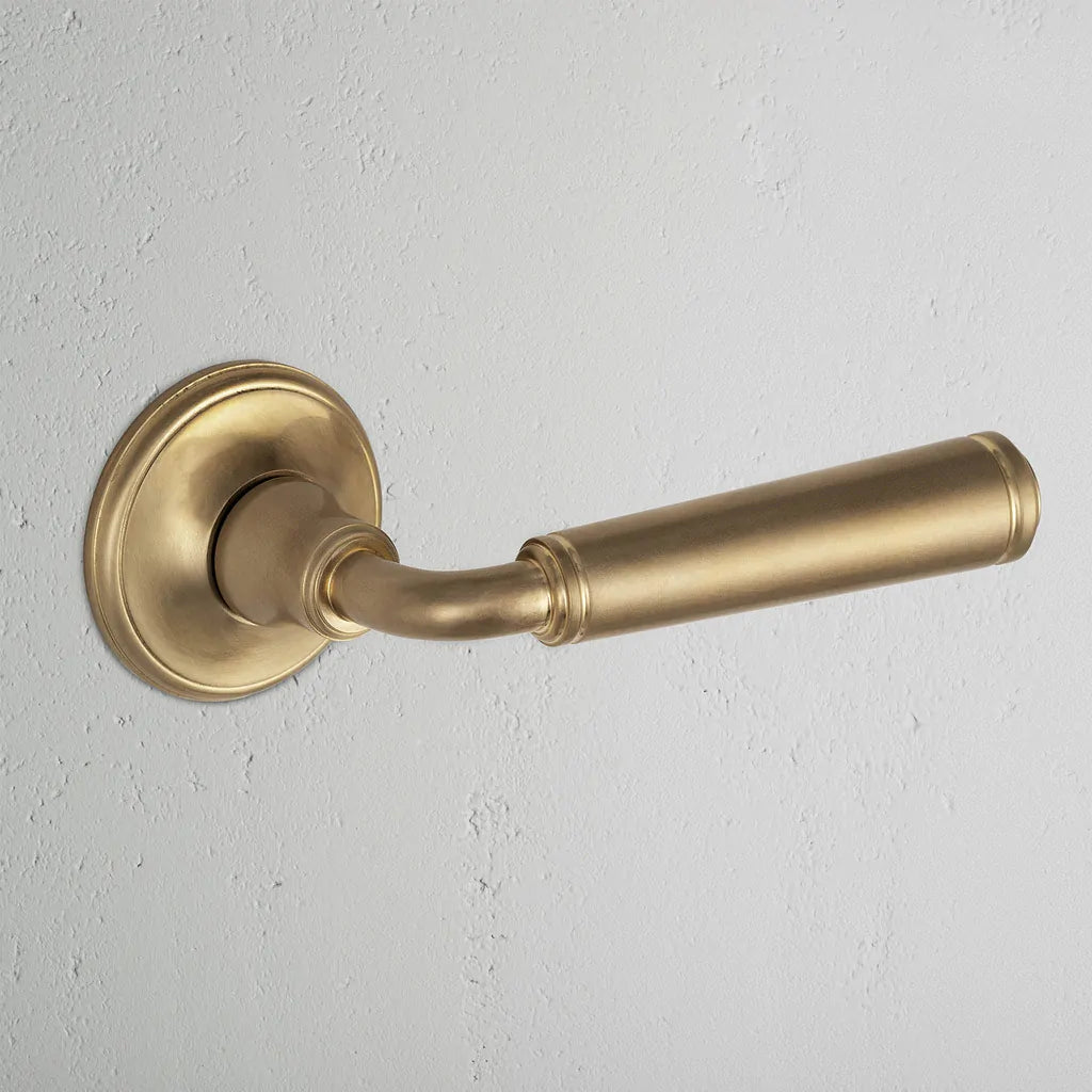 Digby Sprung Door Handle