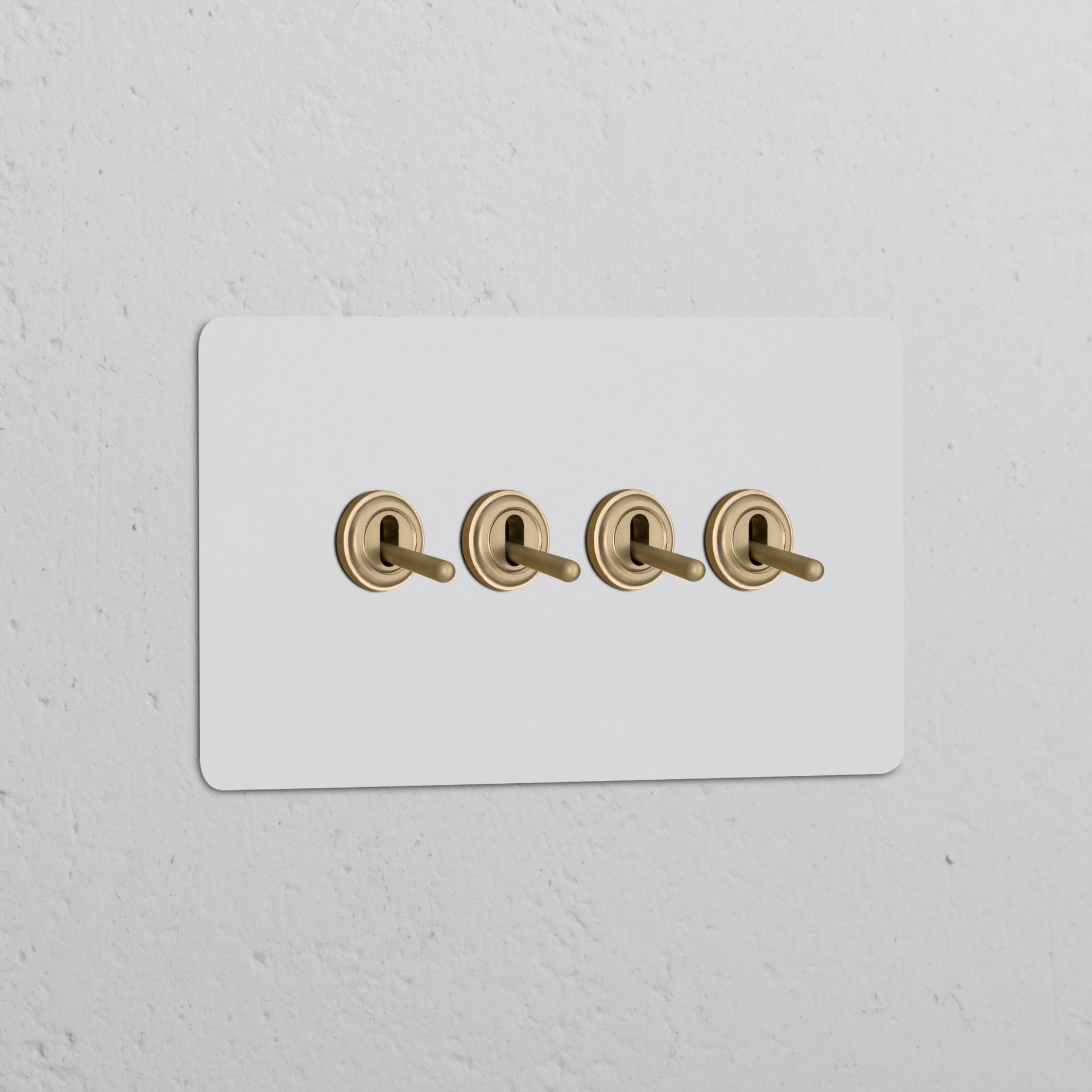 Double 4x Toggle Switch