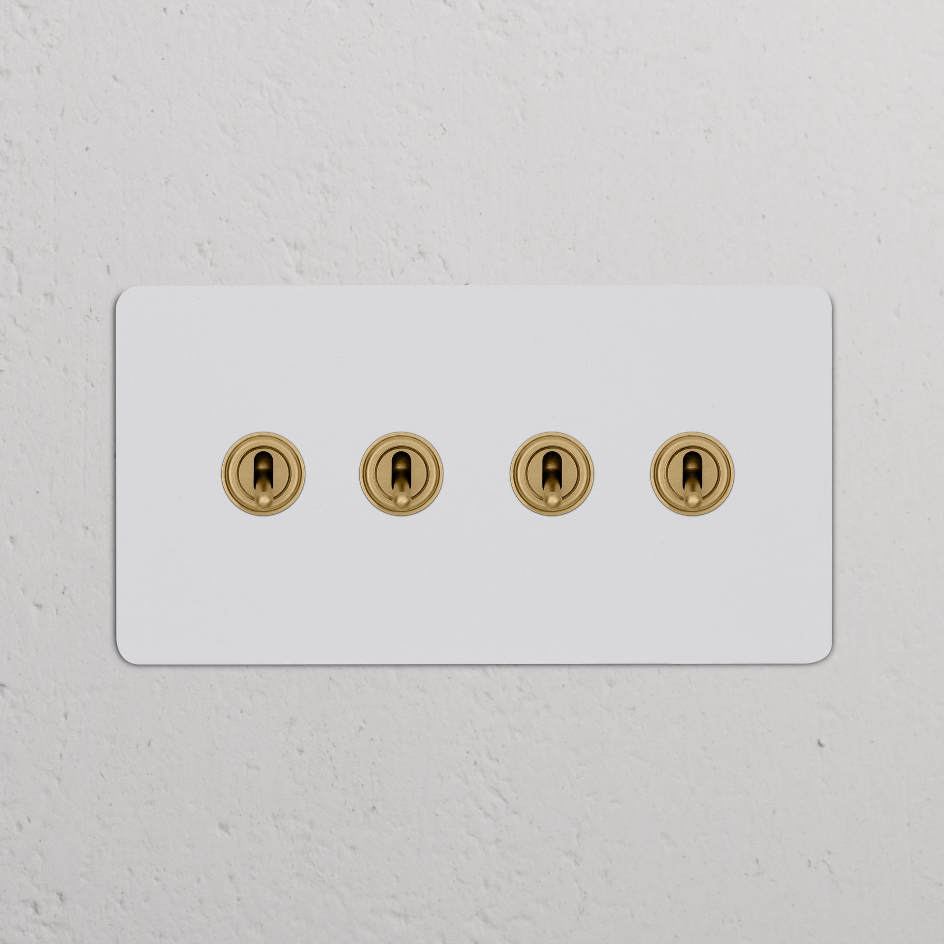 Double 4x Toggle Switch