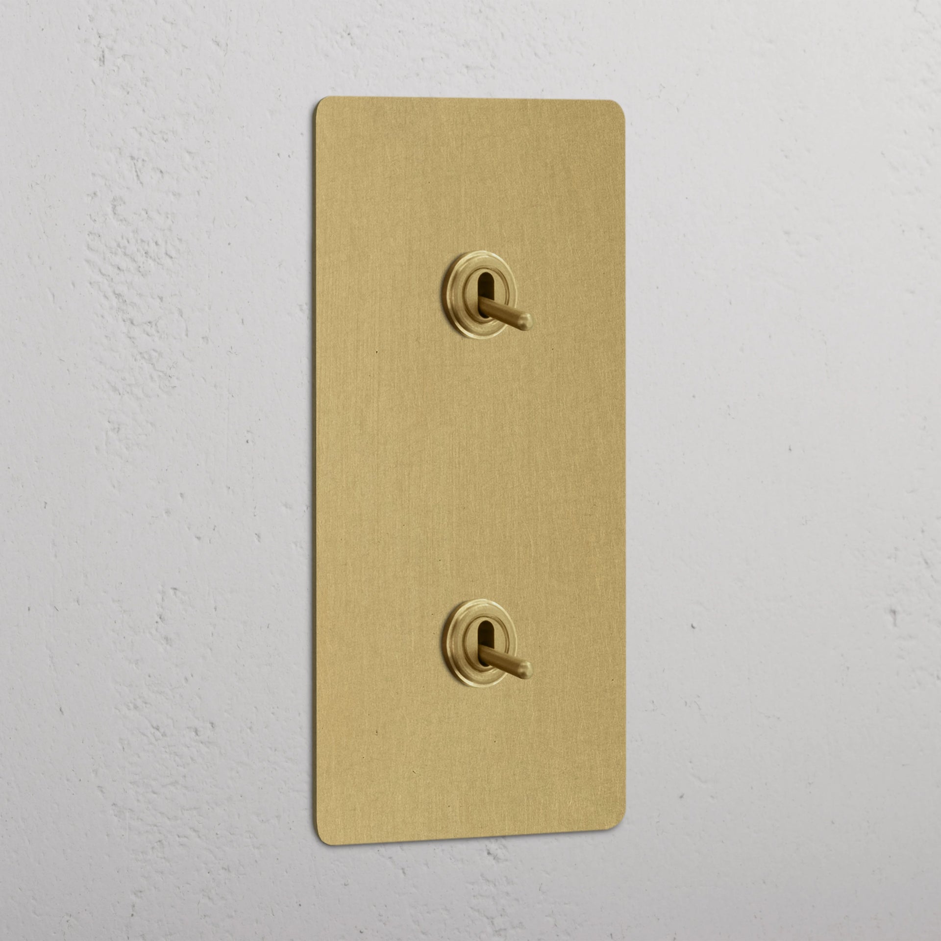 Double 2x Vertical Toggle Switch