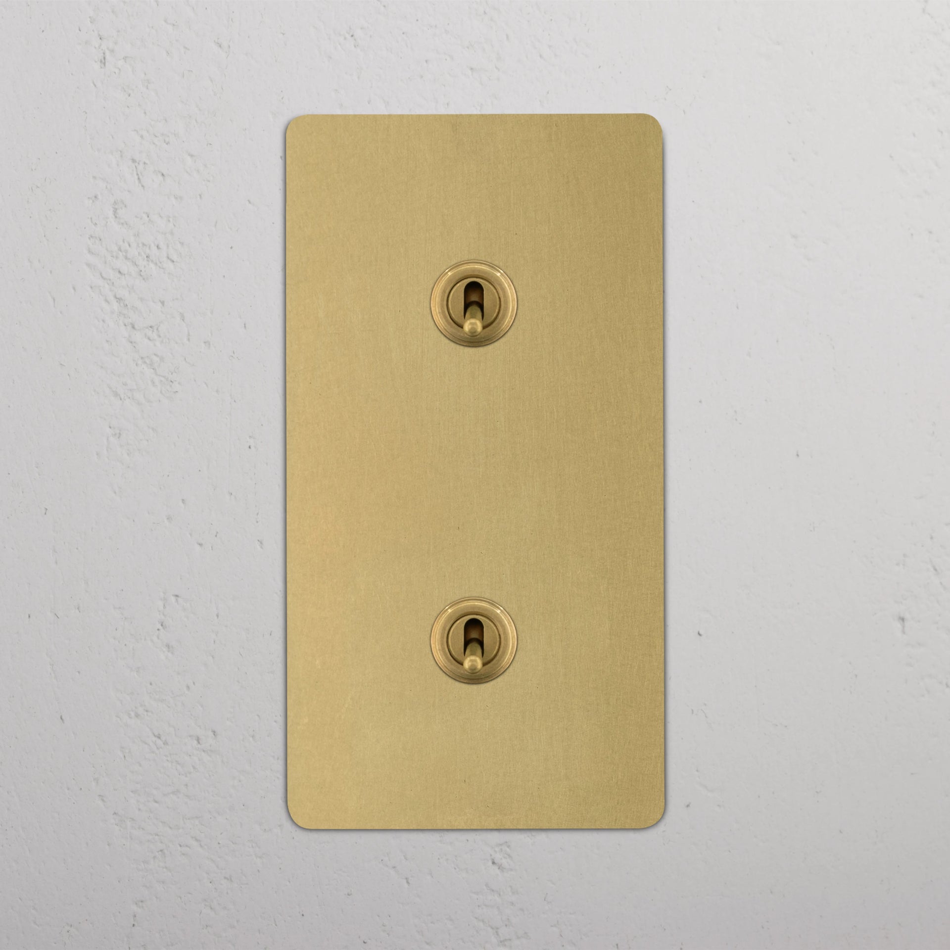 Double 2x Vertical Toggle Switch