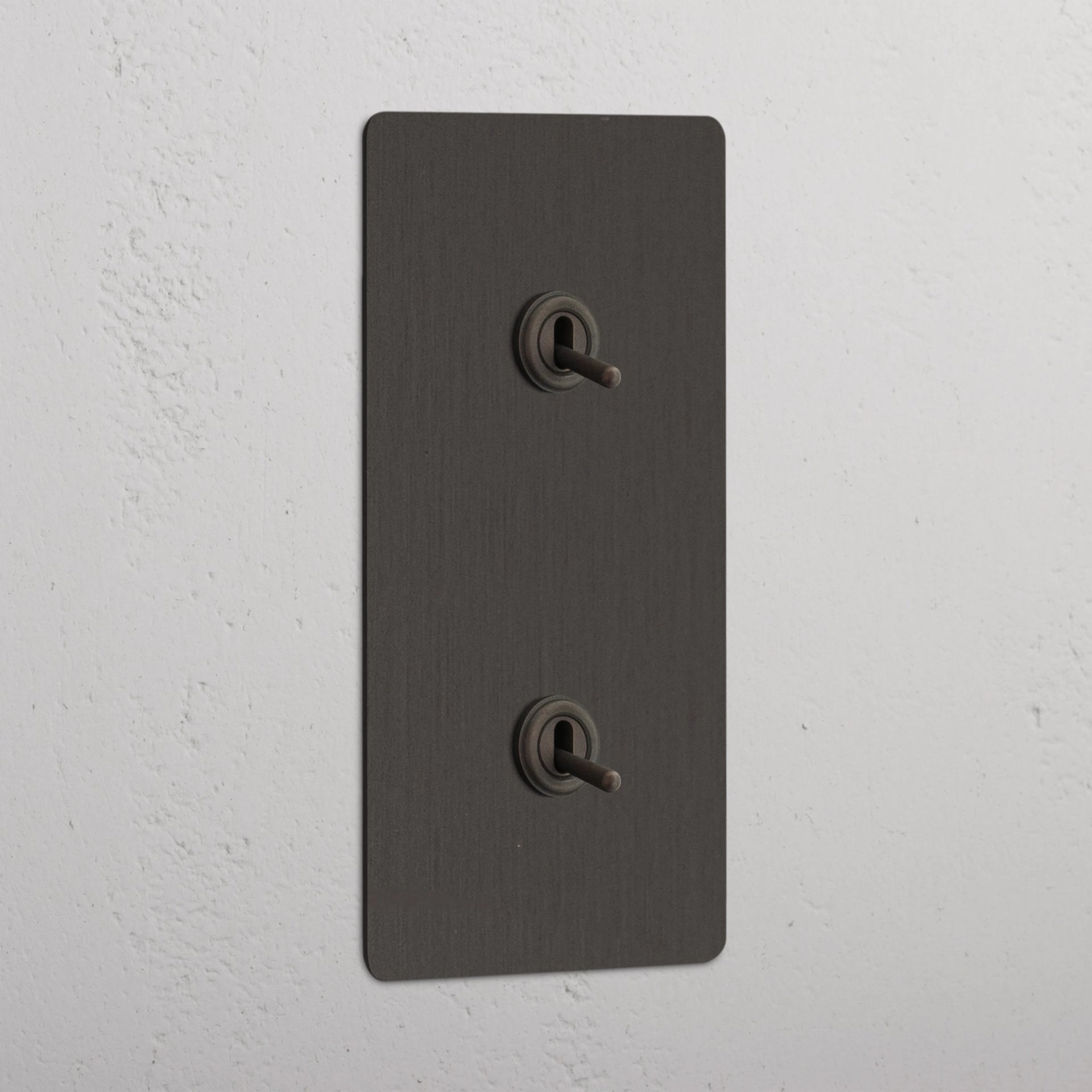 Double 2x Vertical Toggle Switch
