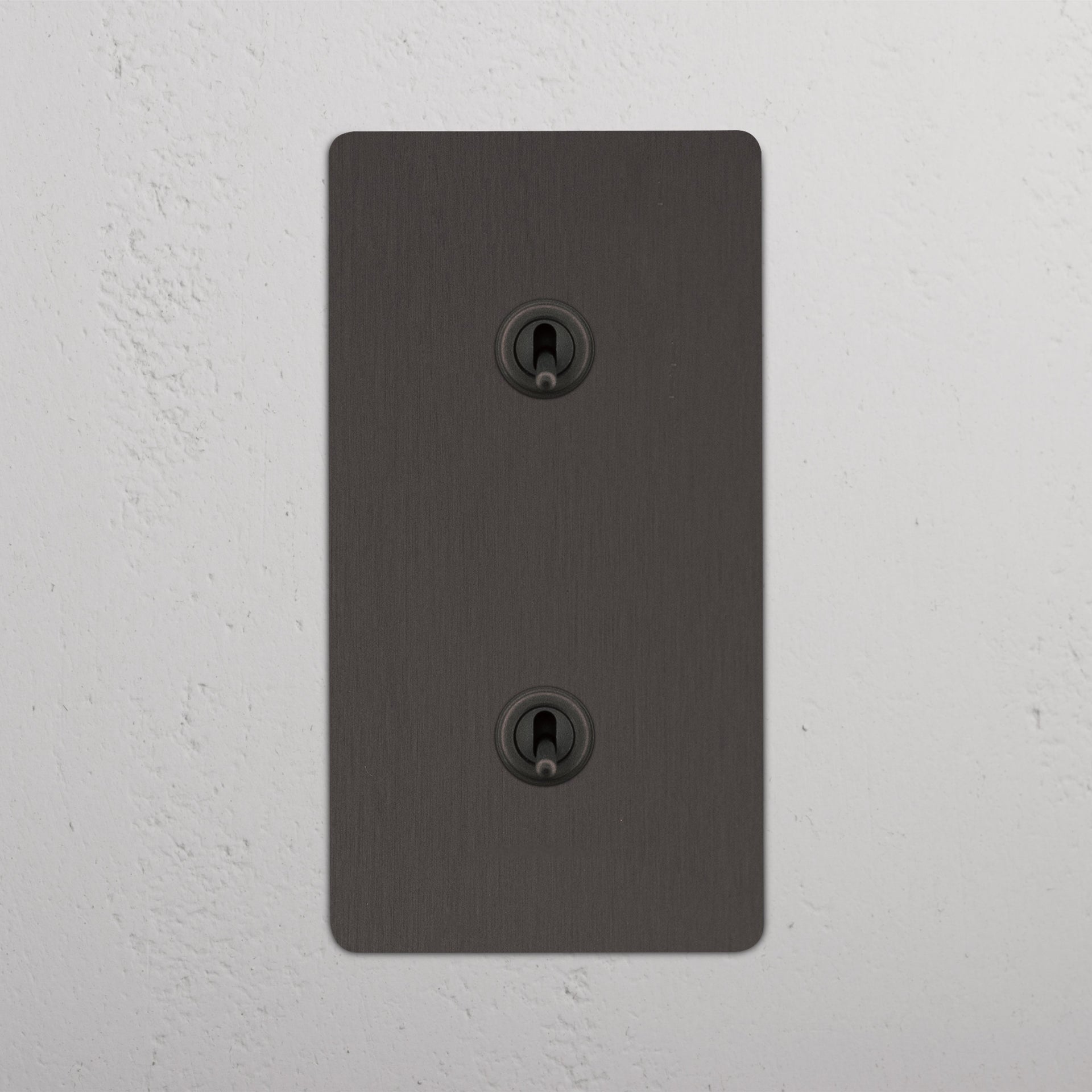 Double 2x Vertical Toggle Switch