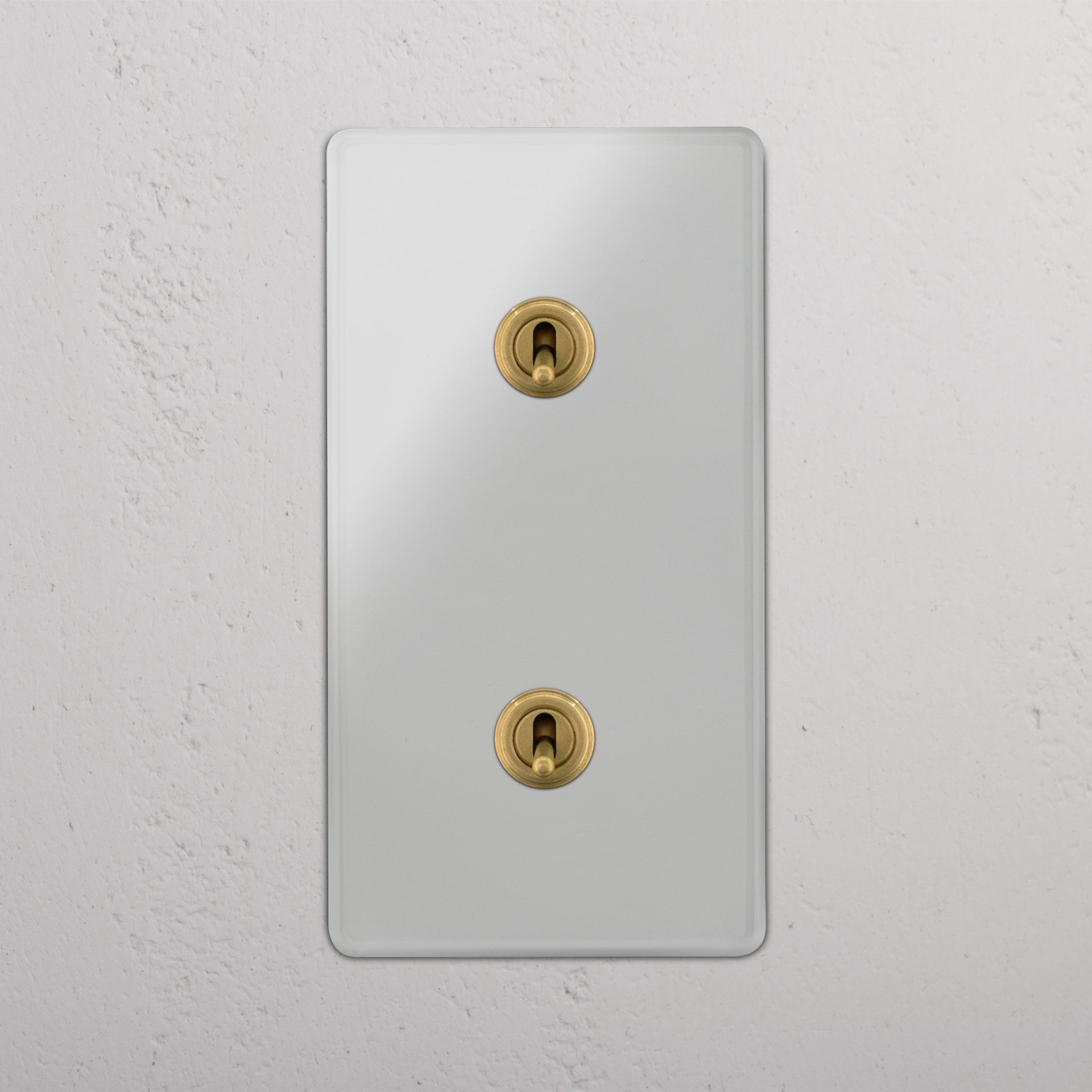 Double 2x Vertical Toggle Switch