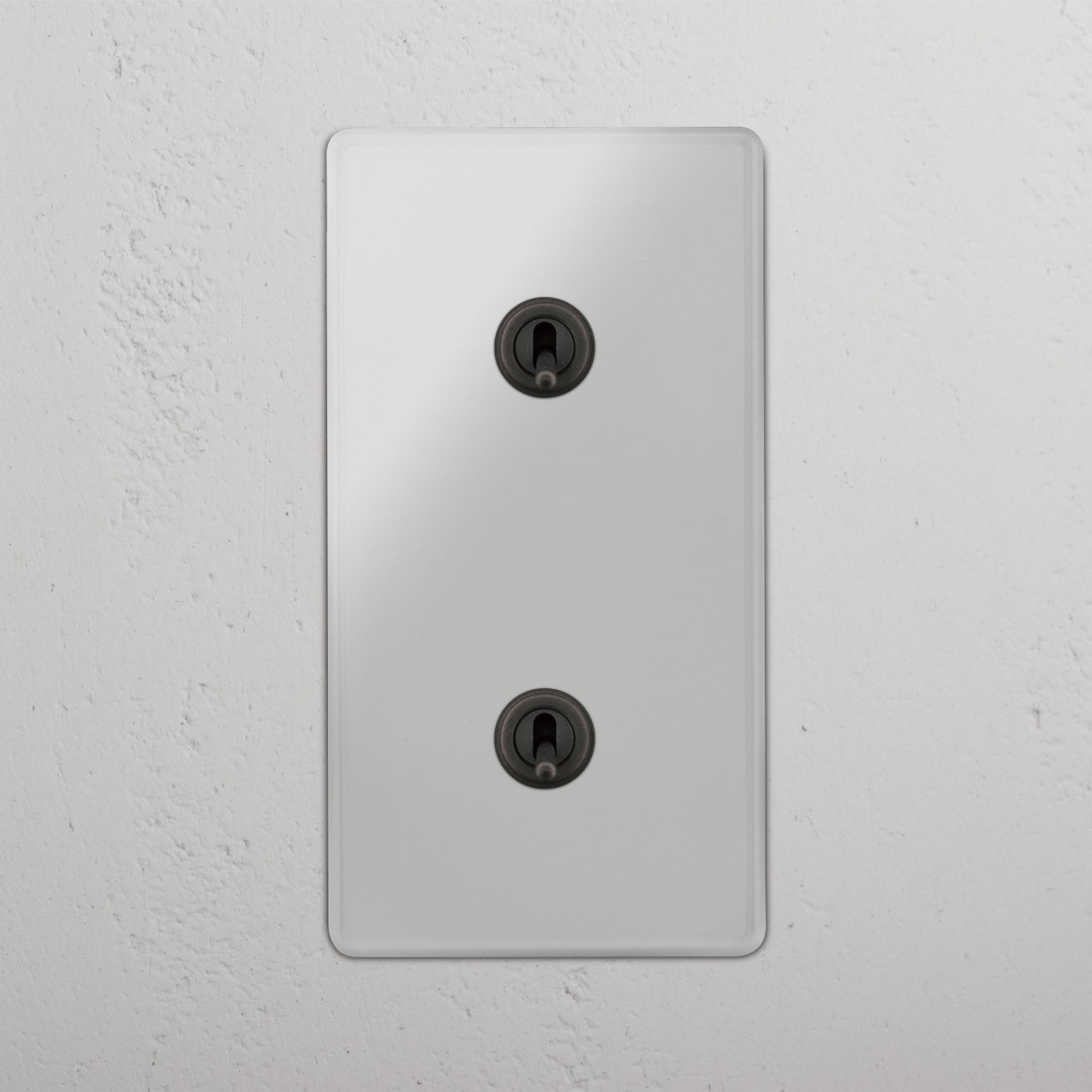 Double 2x Vertical Toggle Switch