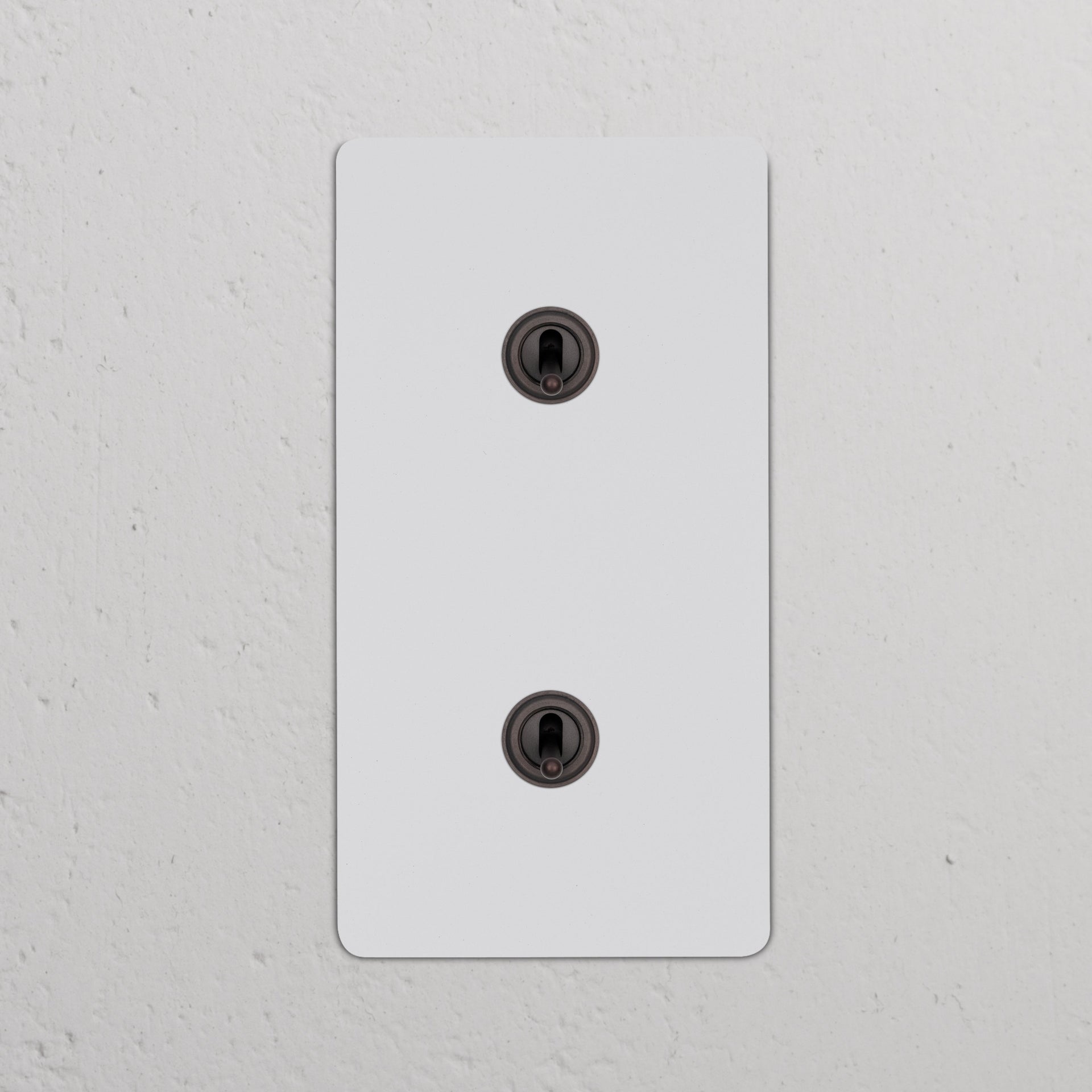 Double 2x Vertical Toggle Switch