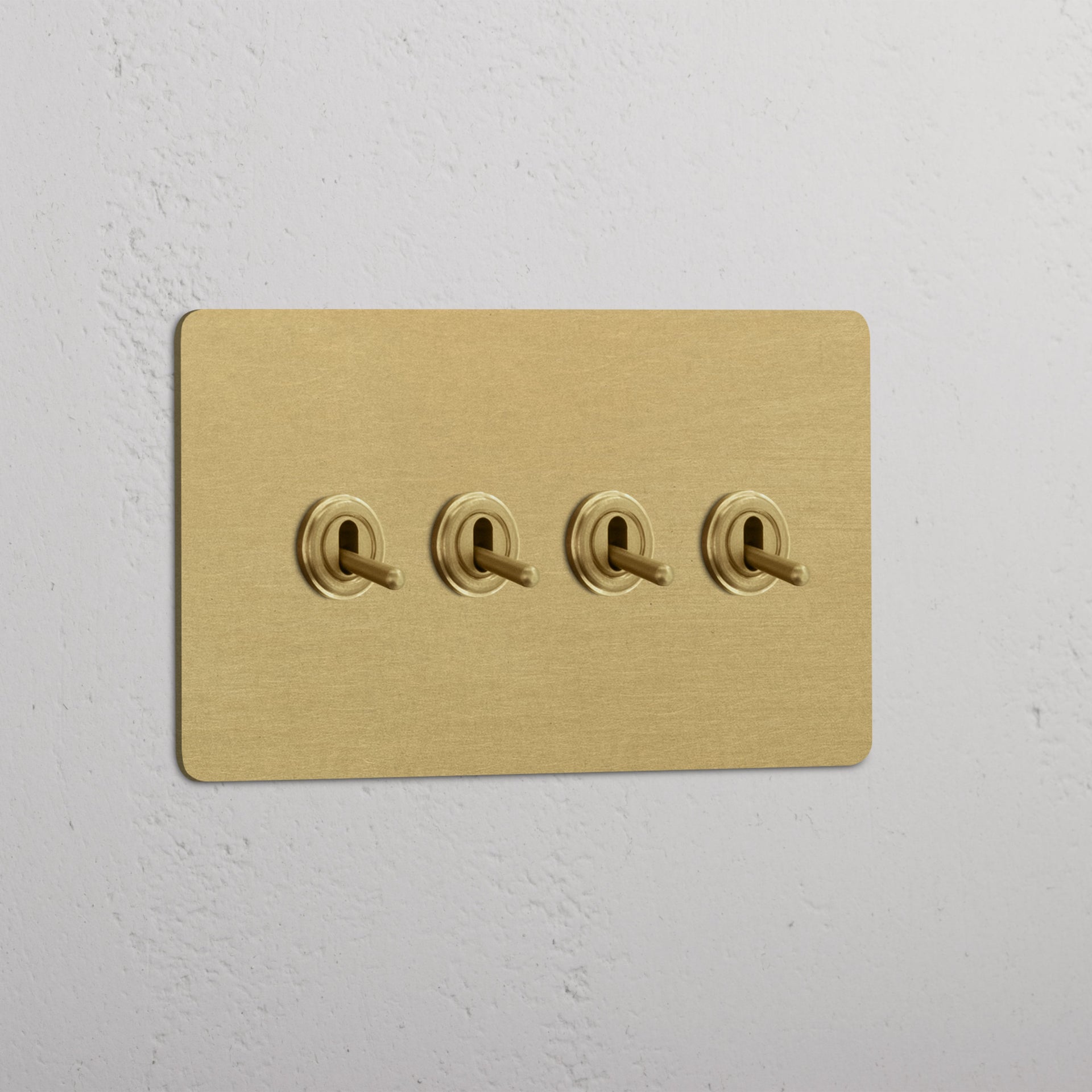 Double 4x Toggle Switch