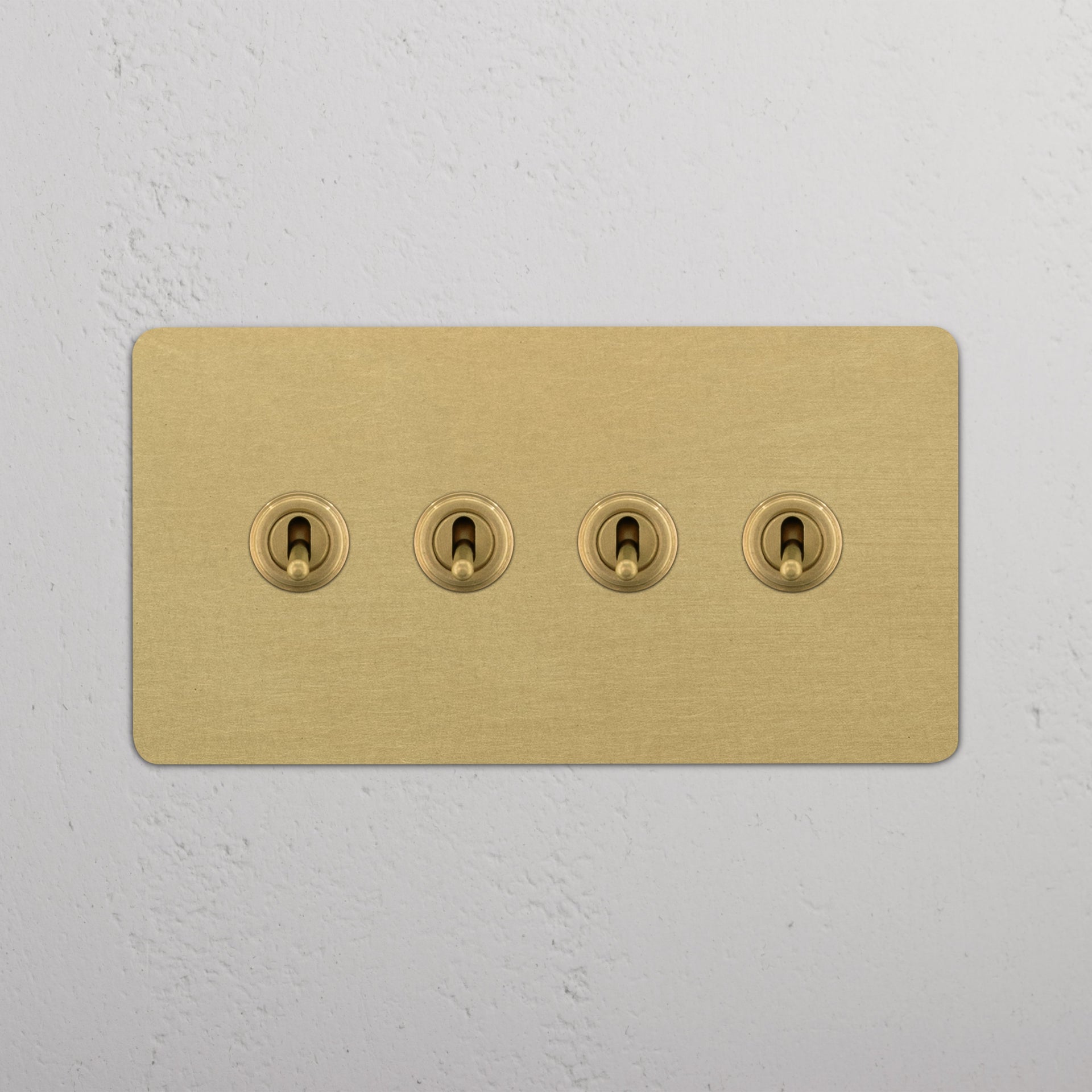 Double 4x Toggle Switch