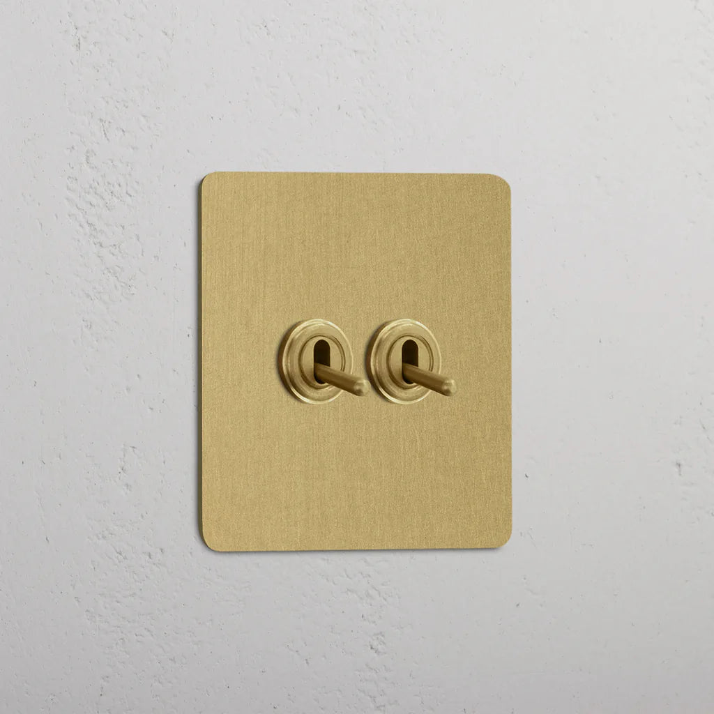 Single 2x Toggle Switch
