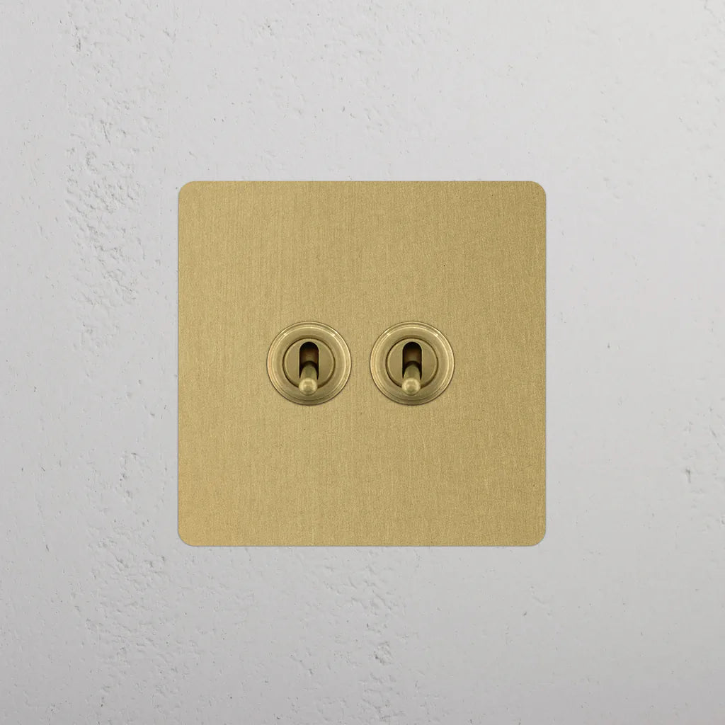 Single 2x Toggle Switch