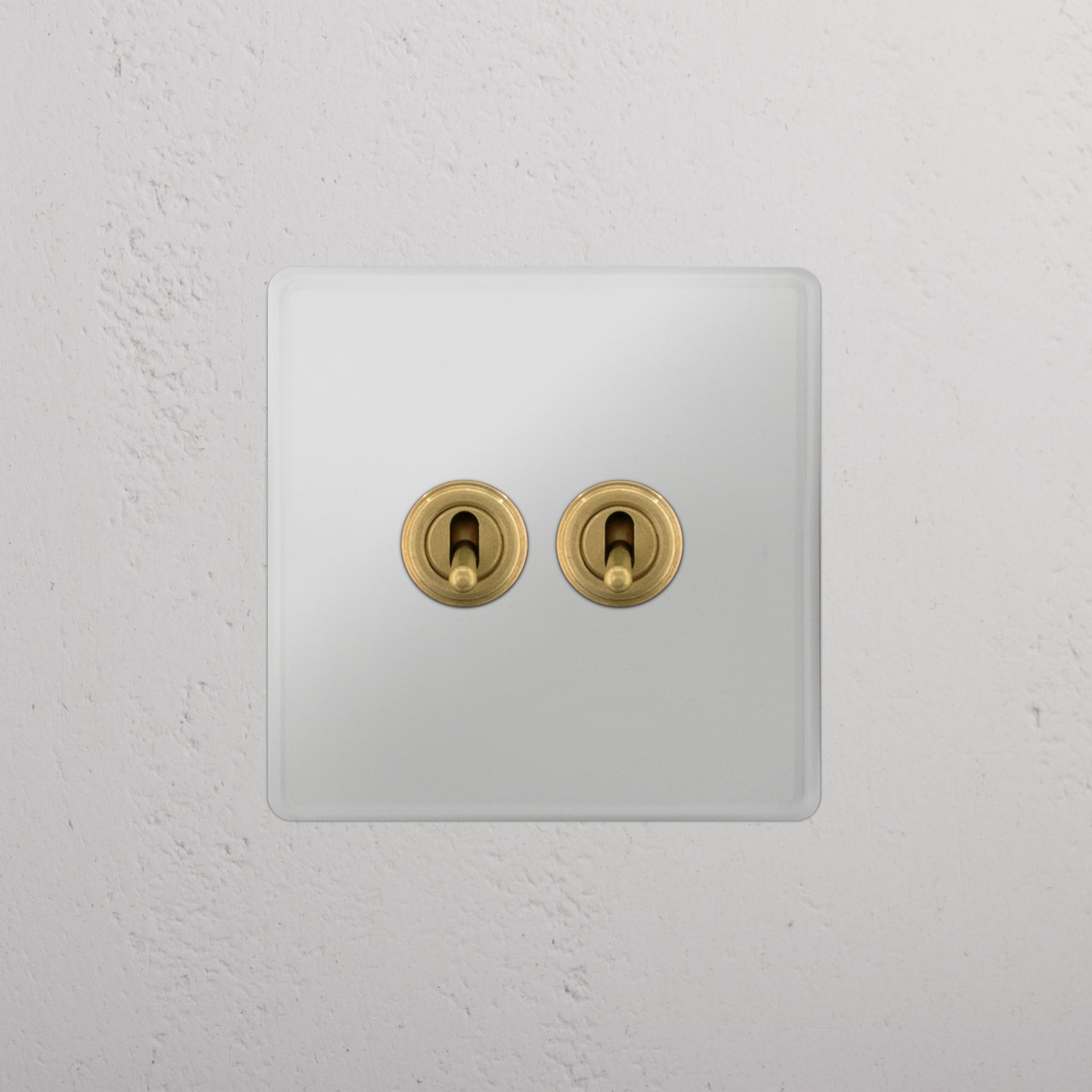 Single 2x Toggle Switch