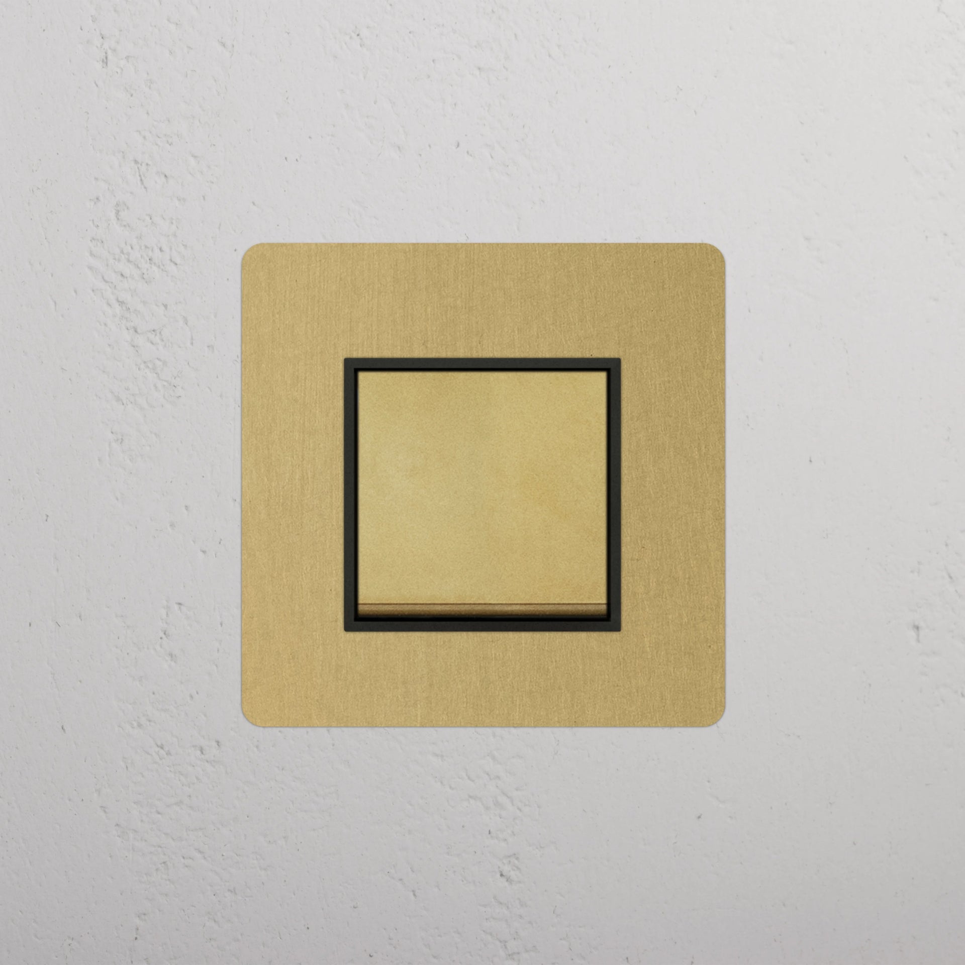 Single Rocker Switch