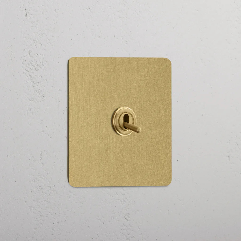 Single Toggle Switch