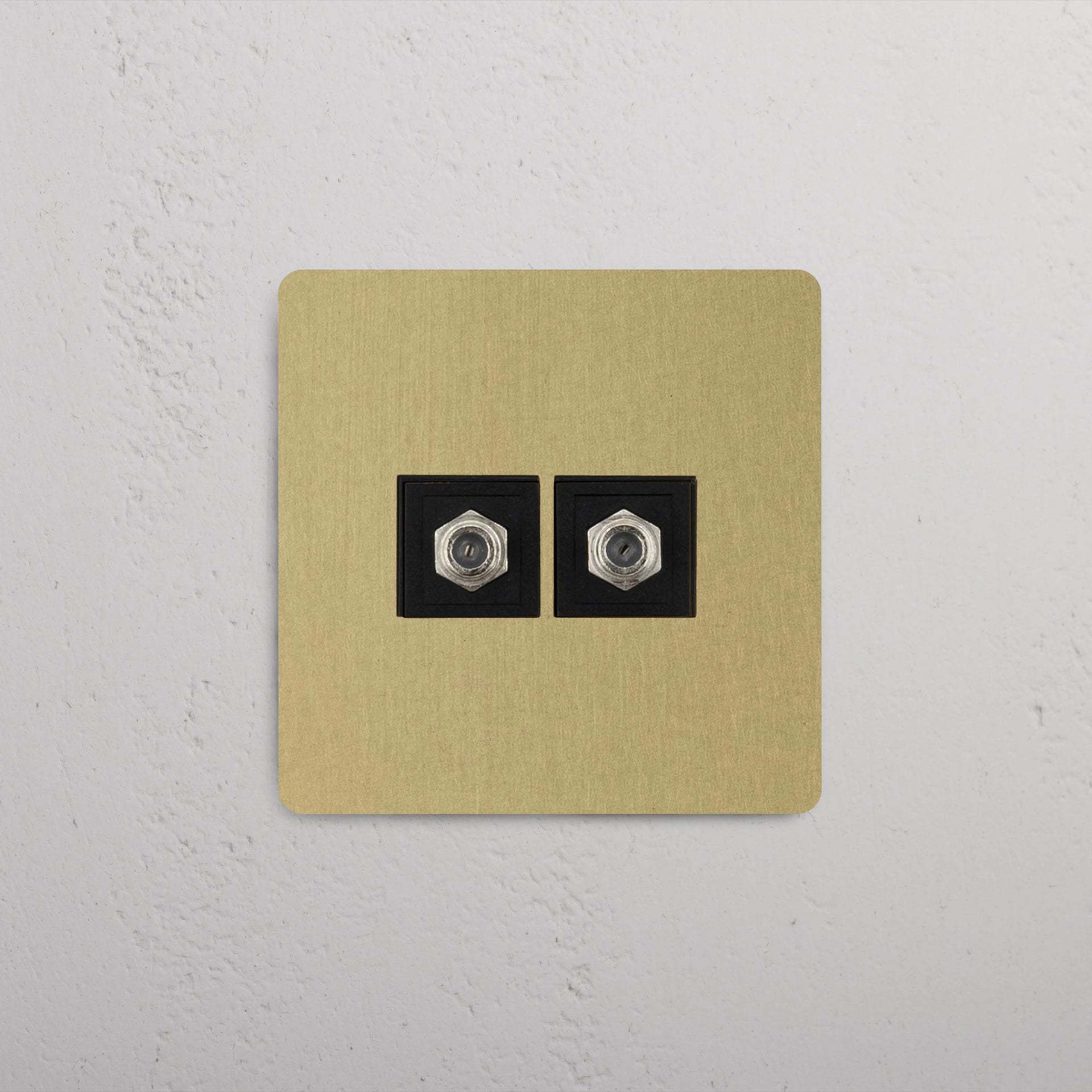 Single 2x Satellite Module