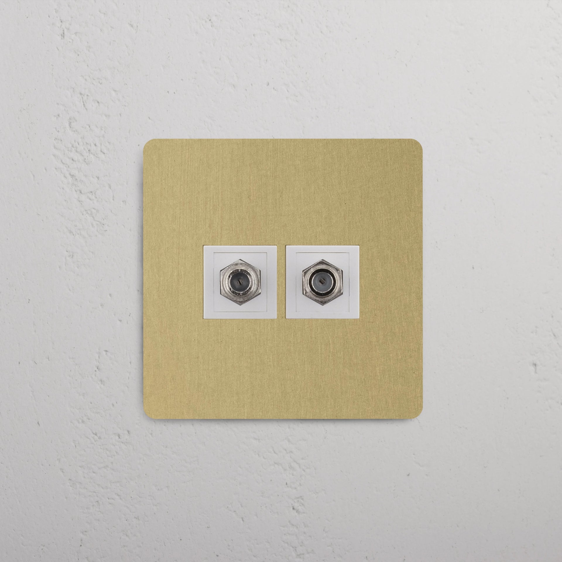 Single 2x Satellite Module