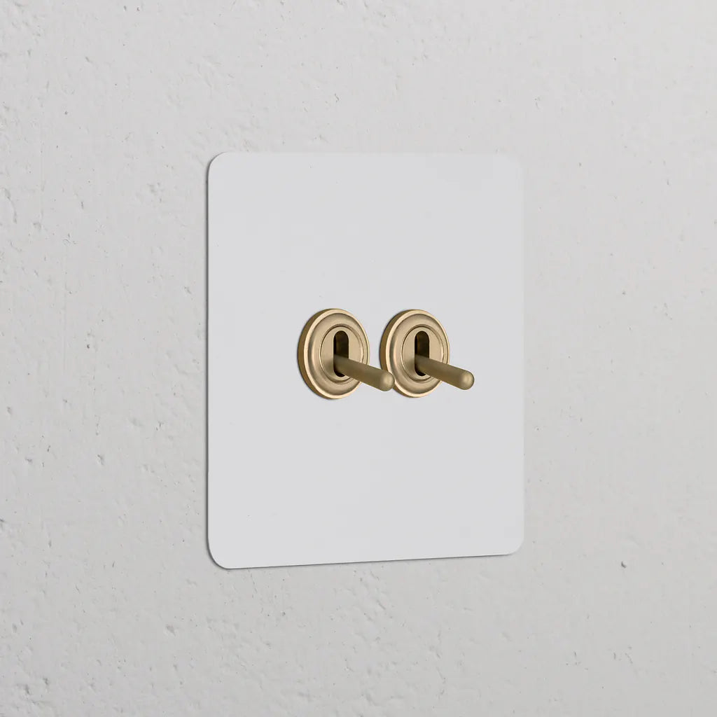 Single 2x Toggle Switch