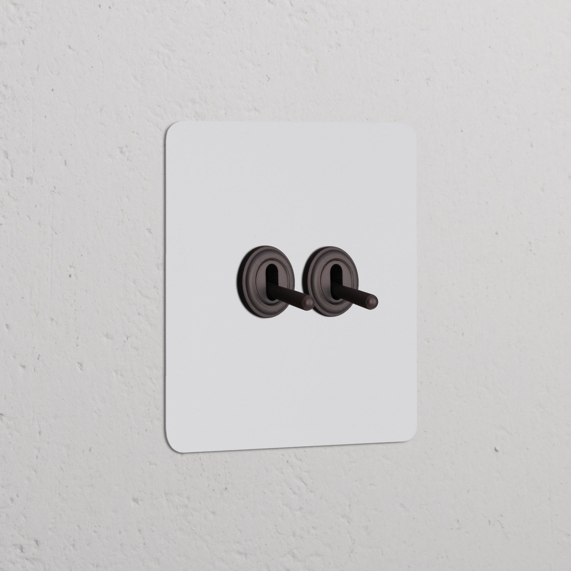 Single 2x Toggle Switch