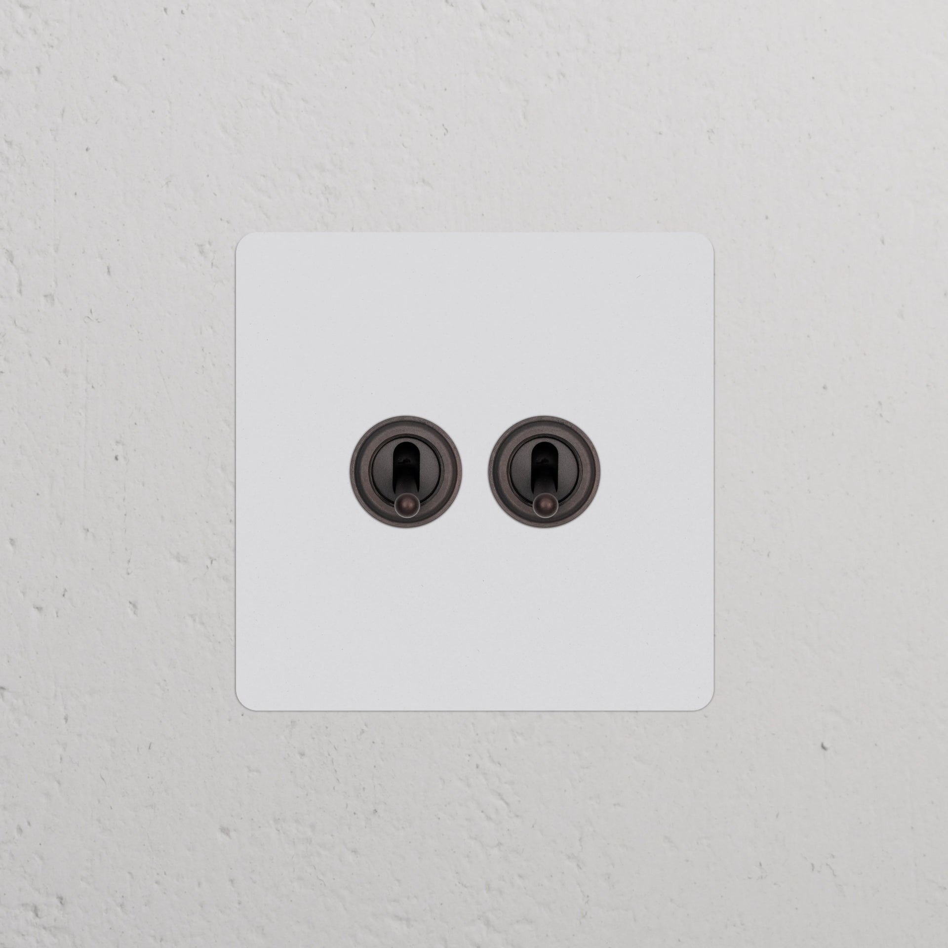 Single 2x Toggle Switch