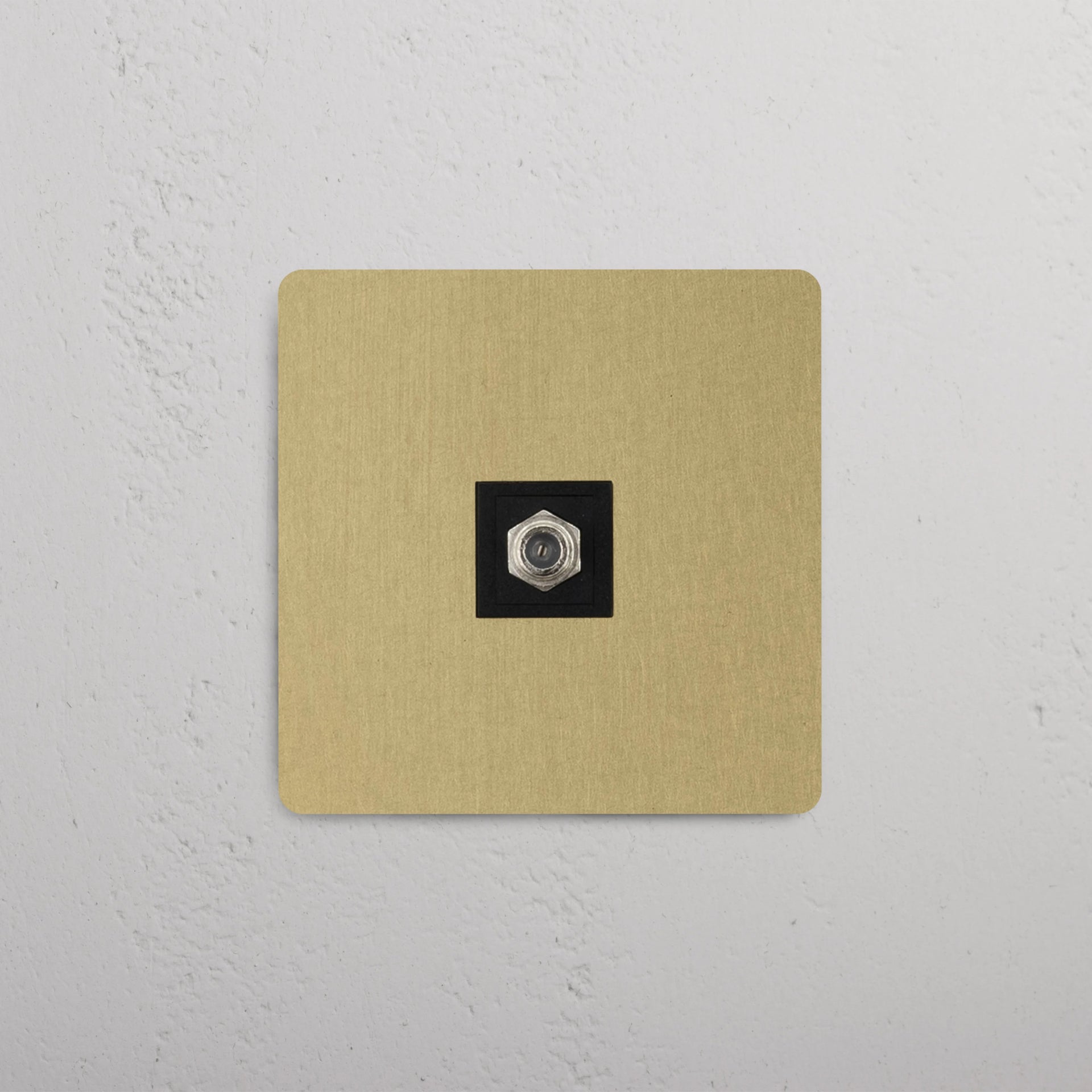 Single Satellite Module