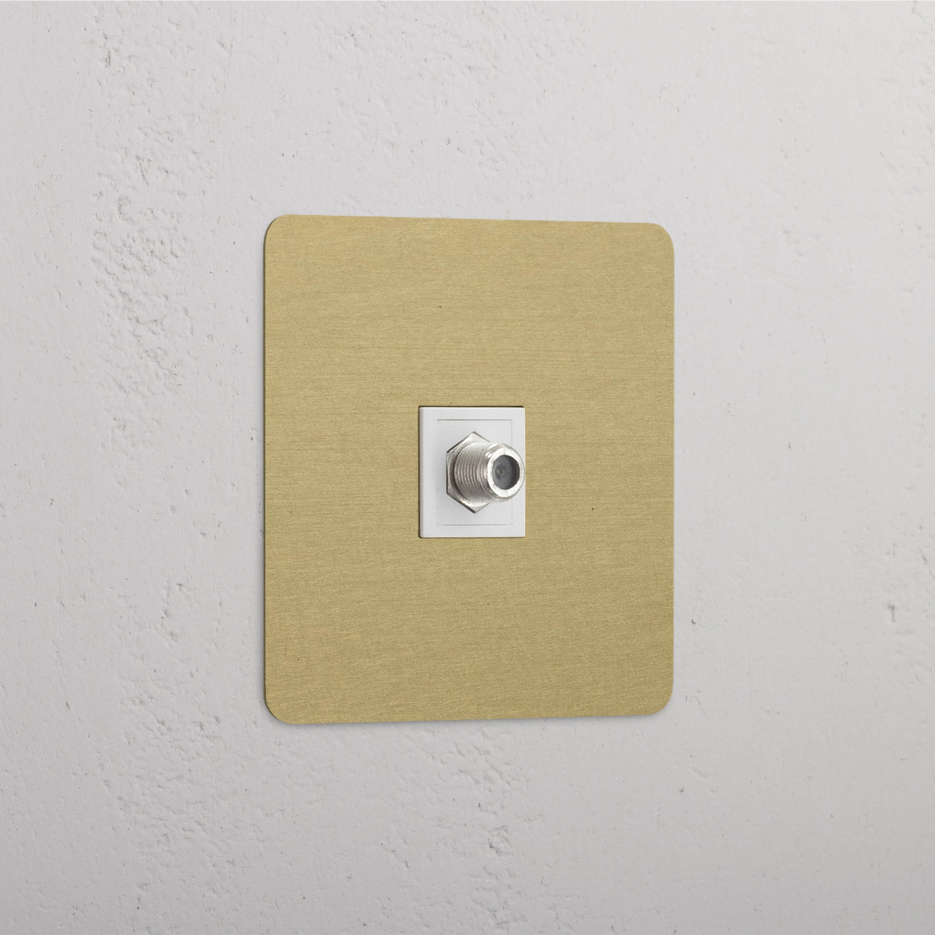 Single Satellite Module