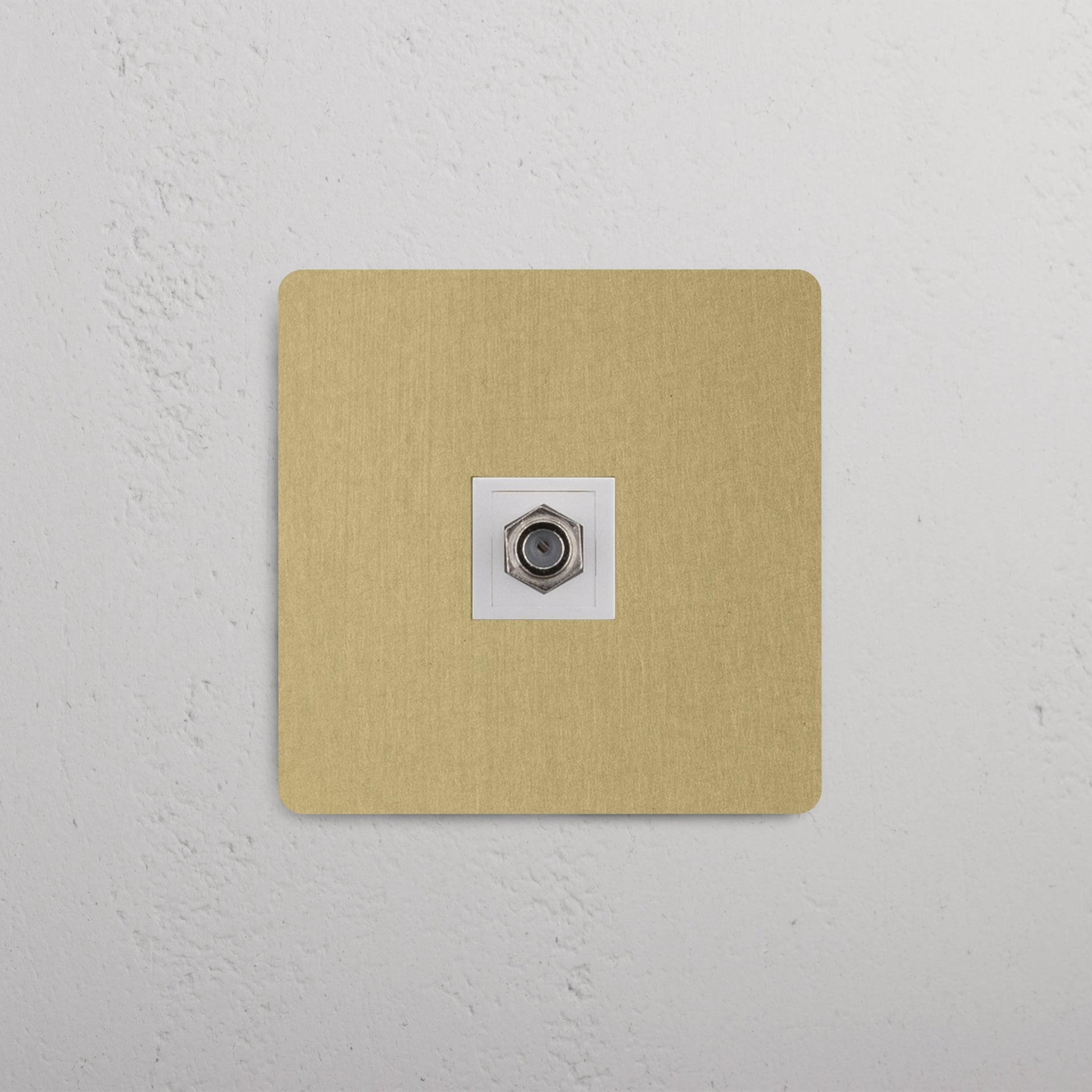 Single Satellite Module