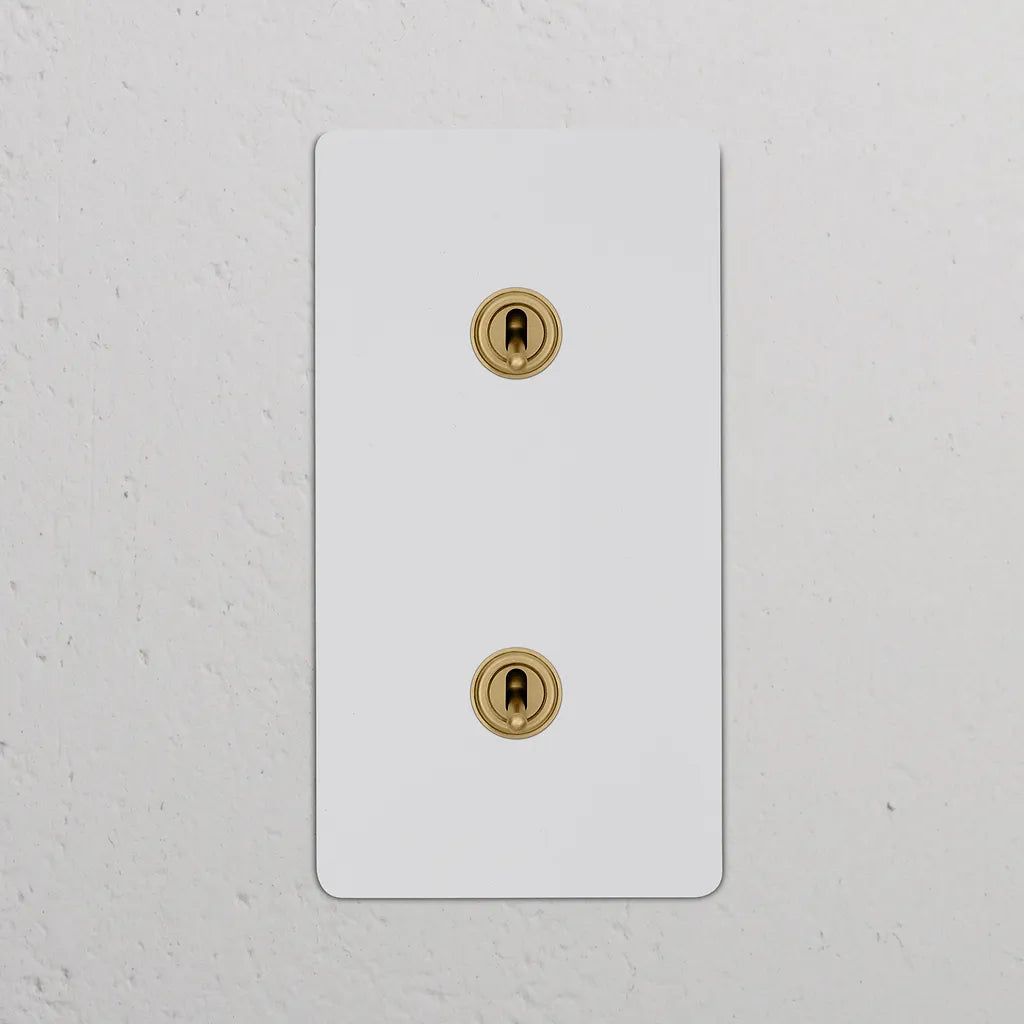 Double 2x Vertical Toggle Switch