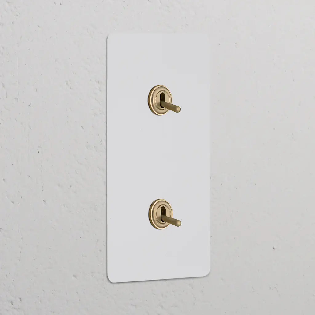 Double 2x Vertical Toggle Switch